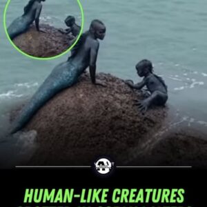 What They Found Inside the Ocean's Shadows Shocked the Entire Archaeological World