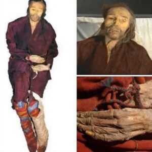 The Enigmatic Cherchen Man: A Bronze Age Traveler Frozen in Time 22 The Enigmatic Cherchen Man: A Bronze Age Traveler Frozen in Time