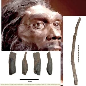 The 430,000-Year-Old Wooden Tools That Are Rewriting Europe’s Prehistoric Story 52 The 430,000-Year-Old Wooden Tools That Are Rewriting Europe’s Prehistoric Story
