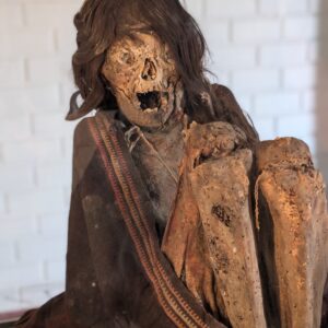 The Red-Haired Mummy the Desert Refused to Forget 24 2HGb6ErVF0qbqYuRv2sOaUvOaFw4jGzpNHl2