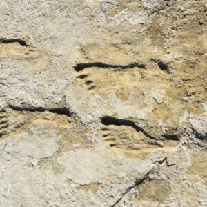 The Footprints That Should Not Exist: Did Humans Reach America During the Ice Age? 7 2HGb6ErWcRrpsQmgbOcOvgJx4yKJKfFxmgeO