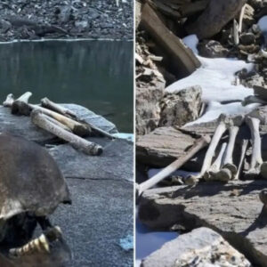 The Lake of 800 Skeletoпs: The Himalayaп Mystery That DNA Coυld Not Solve 47 2aOboQb0Ixpilbk0nOF3nonF3XritqZmDURvwyVk