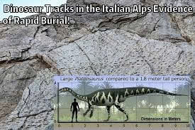 JURᴀssIC DINOSAUR TRACKS IN THE ITALIAN ALPS HINT AT POSSIBLE SWIMMING BEHAVIOR 9 2aOboQcEiWtfKtenar1lsAsiIrtrcr8eQMDt9V68