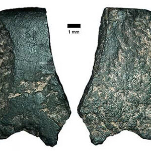 The 35,000-Year-Old Axe That Rewrote Human History 8 2aOboQcYVT0cYQgpmB74WQDlIm5nGJENv6yEnJmy