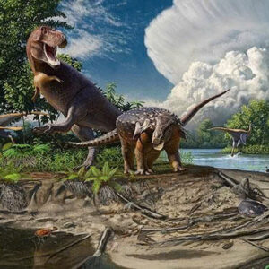 🌊 THE DINOSAUR GRAVEYARD THAT MAY HOLD THE FINAL MOMENTS OF A LOST WORLD 1 2aOboQczUTczLK8UYx7r1yKNg4II22OQnQQLZzP6