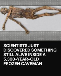 The Frozen Murder Victim: The 5,300-Year-Old Man Who Refused to Reveal His Secrets 15 717937909 1358487699477544 8690041532390621717 n