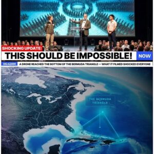 A Drone Reached The Bottom of The Bermuda Triangle — What It Filmed Shocked Everyone 29 721136791 1014825228008889 9207851962095181993 n