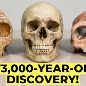 773,000-Year-Old Moroccan Jaw Fossil Suggests Complex Origins of Early Humans and Neanderthals 26 hq720 2