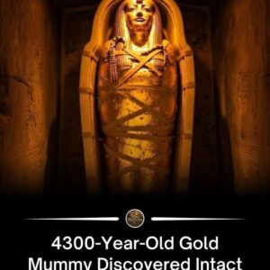 The 4,300-Year-Old Golden Mummy of Saqqara: An Intact Discovery from Egypt’s Ancient Past 40 The 4,300-Year-Old Golden Mummy of Saqqara: An Intact Discovery from Egypt’s Ancient Past