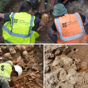 The Ridgeway Hill Viking Mass Grave That Scientists Still Can't Fully Explain
