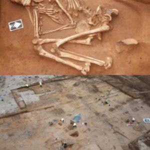 The Bronze Age Woman Found Curled Beneath Kent: A 3,000-Year-Old Burial That Still Puzzles Archaeologists