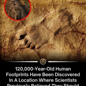 120,000-Year-Old Human Footprints in Saudi Arabia Are Rewriting the Story of Early Migration