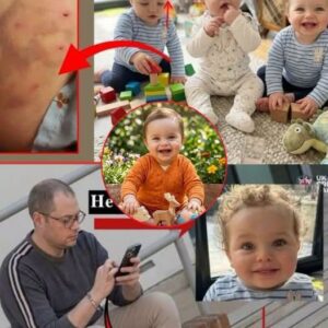 The Preston Davey Case: Justice or System Failure? Unanswered Questions After a Toddler's Death