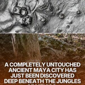 Buried Maya City Revealed Beneath Mexico’s Jungle: How LiDAR Changed What Archaeologists Thought They Knew