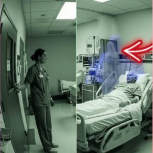 Virgin Mary in the ICU? A Nurse's Extraordinary Experience Raises Questions No Cameras Could Answer
