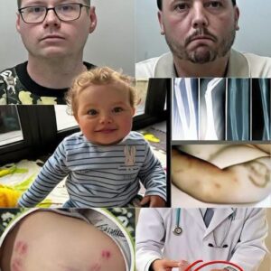 Preston Davey Case: Forensic Report Allegedly Reveals Extensive Abuse During Care Placement