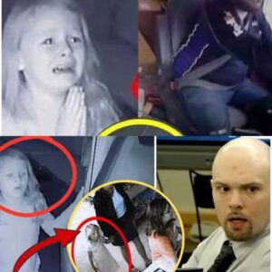 TANNER HORNER CASE – COURT HEARS EVIDENCE IN ATHENA STRAND MURDER TRIAL