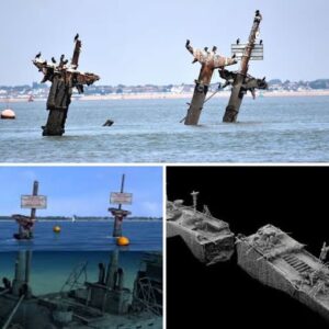 Britain's WWII Time Bomb Still Lies Beneath the Thames: The Unresolved Mystery of the SS Richard Montgomery
