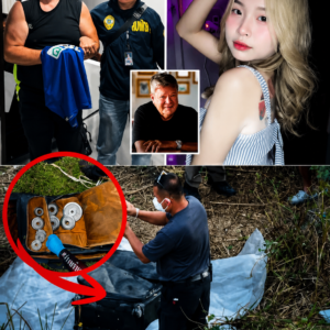 Chilling New Revelations Deepen the Thailand Suitcase Investigation After Key Arrest 11 Chilling New Revelations Deepen the Thailand Suitcase Investigation After Key Arrest