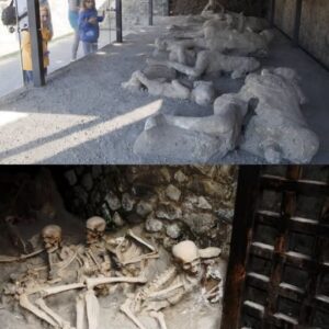 Pompeii and Herculaneum: The Ancient Disaster That Still Hides New Secrets
