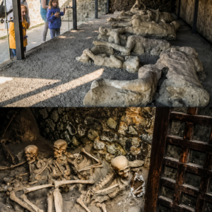 Mount Vesuvius and the Hidden Clue That Changed What We Know About Pompeii's Destruction 1 Mount Vesuvius and the Hidden Clue That Changed What We Know About Pompeii's Destruction