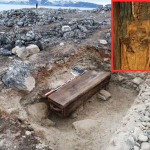 The Frozen Graves of Svalbard: What 300-Year-Old Whalers Are Revealing About Europe's Arctic Past 16 The Frozen Graves of Svalbard: What 300-Year-Old Whalers Are Revealing About Europe's Arctic Past