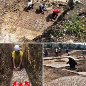 The 1,800-Year-Old Roman Mosaic Hidden Beneath a Vineyard for Nearly a Century