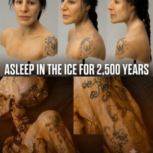 The Siberian Ice Maiden: The 2,500-Year-Old Woman Whose Tattoos Survived the Ice 27 The Siberian Ice Maiden: The 2,500-Year-Old Woman Whose Tattoos Survived the Ice